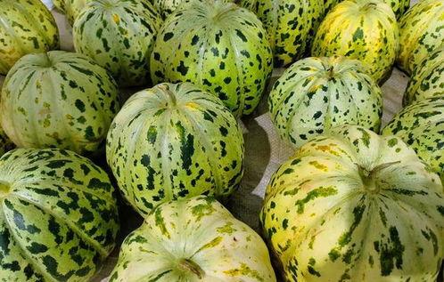 吃瓜不能碰到什么,吃瓜界的禁忌，这些“雷区”千万别踩！