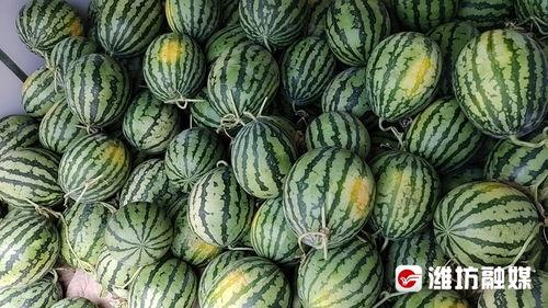 交城今日总说吃瓜,吃瓜群众热议焦点事件