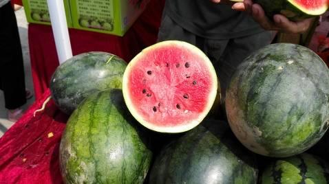 吃瓜协会张露文,揭秘娱乐圈幕后故事