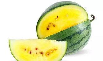 烟台人吃瓜图,吃瓜图鉴，解锁夏日消暑新风尚