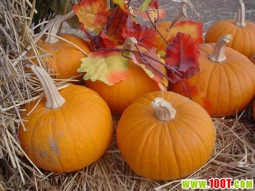 美食推荐附近吃瓜,美食地图中的瓜果飘香之旅