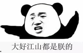 绅士吃瓜群密码,揭秘网络社交圈的神秘面纱