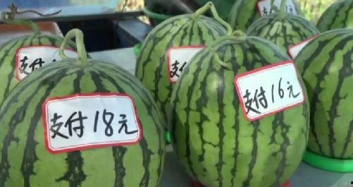 尊重吃瓜群众,共绘和谐网络画卷