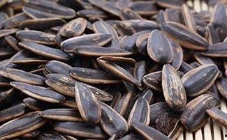 吃瓜是吃瓜子吗为什么