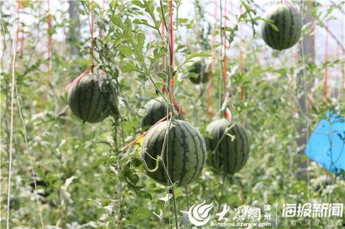 吃瓜影视 地址,带你走进热门影视幕后故事