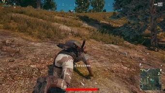 小张吃鸡瓜,小张的吃鸡瓜奇遇记