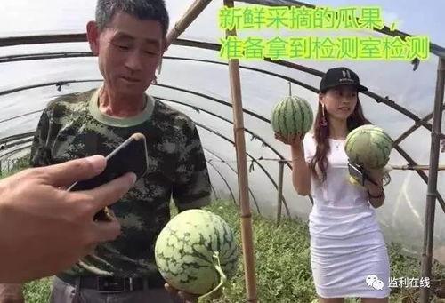 真正吃瓜群众直播,真正吃瓜群众的直播奇遇记