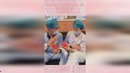 护士吃瓜日常,瓜田里的温馨瞬间