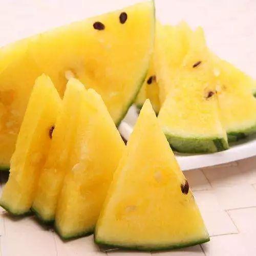 张老三吃瓜,张老三的瓜田奇遇记