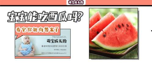 宝宝多大可以吃蜜瓜,适宜年龄揭秘