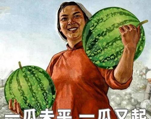 刷老婆的卡吃瓜