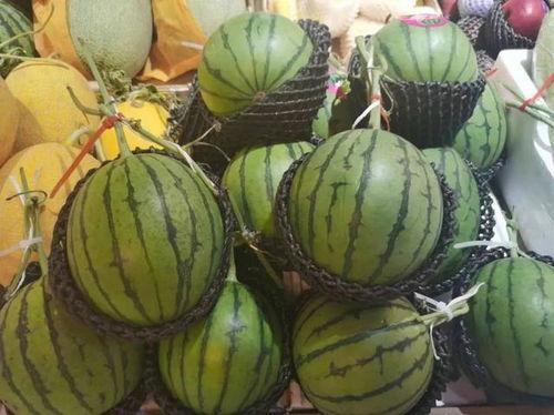 经济吃瓜,吃瓜群众眼中的财经盛宴