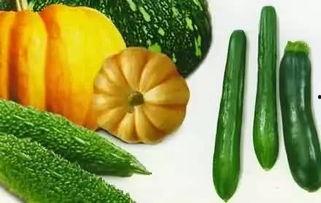 吃瓜抗衰老,揭秘抗衰老的秘密武器