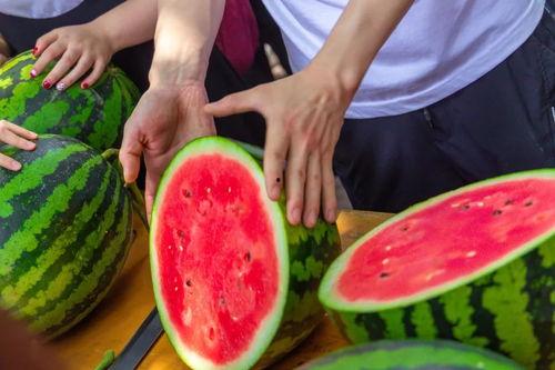 眉山大学吃瓜,吃瓜群众揭秘校园热点事件