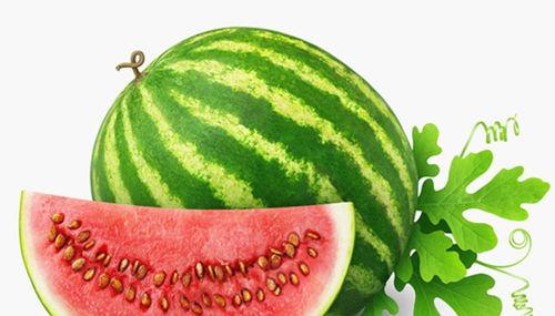 段西楼吃瓜,揭秘娱乐圈幕后故事